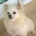 อยู่กับบ้านและสวน