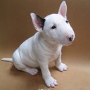 ไม่เป็นไร เอาที่สบายใจนะ