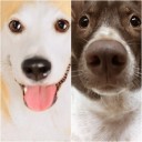 สมาชิกหมายเลข 937048