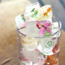 สมาชิกหมายเลข 1724482