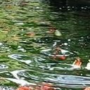 สมาชิกหมายเลข 2212926