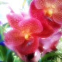 สมาชิกหมายเลข 945636