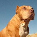 ข้าวเหนียวนึ่งอร่อย