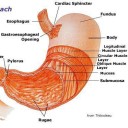 สมาชิกหมายเลข 2213589