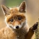 สมาชิกหมายเลข 1006626