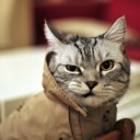 จอนนี่กับหมีที่หายไป