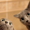 สมาชิกหมายเลข 1234848