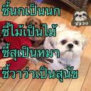 สมาชิกหมายเลข 1802935