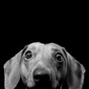 สมาชิกหมายเลข 2213660