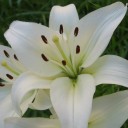 สมาชิกหมายเลข 763816