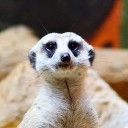 คุณแห้ว