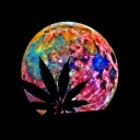 สมาชิกหมายเลข 1377357