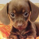 สมาชิกหมายเลข 3013269