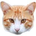 สมาชิกหมายเลข 2802341