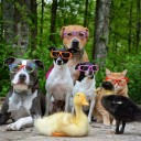 สมาชิกหมายเลข 886481