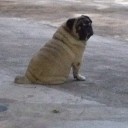 ทะเลยังอาย