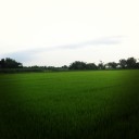 สมาชิกหมายเลข 1377641