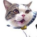 สมาชิกหมายเลข 2214199