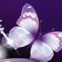 สมาชิกหมายเลข 3016490