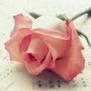 สมาชิกหมายเลข 3016498