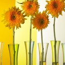 สมาชิกหมายเลข 707769