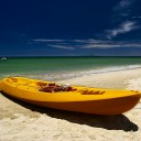 มะพร้าวดำ