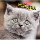 สวยที่สุดในโลกส่วนตัว