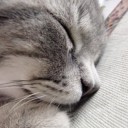 สมาชิกหมายเลข 891696