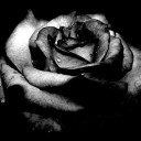 สมาชิกหมายเลข 975968