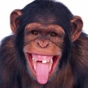 สมาชิกหมายเลข 976455