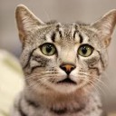 สมาชิกหมายเลข 1369124