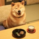 สมาชิกหมายเลข 1082816