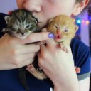 สมาชิกหมายเลข 3470627