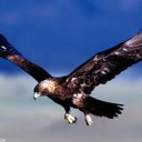 สมาชิกหมายเลข 935836