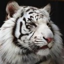 สมาชิกหมายเลข 1805370