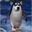 สมาชิกหมายเลข 789831