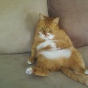 สมาชิกหมายเลข 1784545