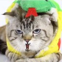 สมาชิกหมายเลข 2215945