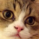 ชื่อยาวจำยาก