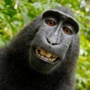 สมาชิกหมายเลข 720665