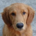 สมาชิกหมายเลข 720805