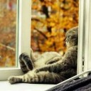 มะต๊องแต๊ง