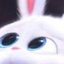 สมาชิกหมายเลข 1303667