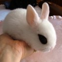 สมาชิกหมายเลข 1806292