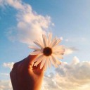 สมาชิกหมายเลข 2217142