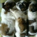 สมาชิกหมายเลข 2973920