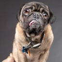 สมาชิกหมายเลข 3461559