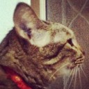 มุกุจัง