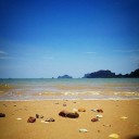 สมาชิกหมายเลข 739030
