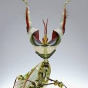 สมาชิกหมายเลข 978238